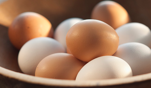 how much bcaa in eggs.png